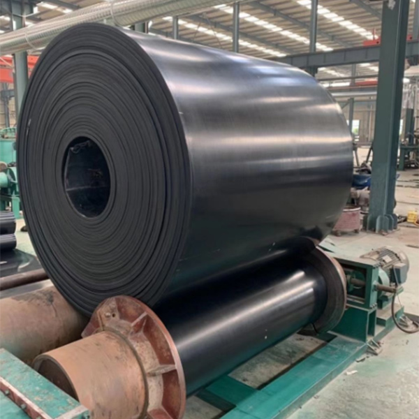 2AcidAlkli Resistant Conveyor Belt.jpg